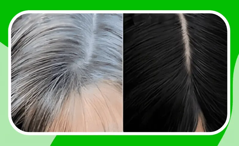 anti-gris vermola products